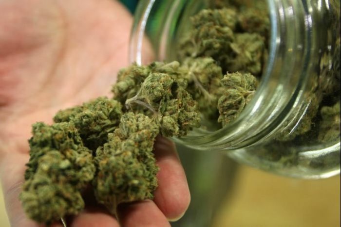 Marihuana «cripy»: se cuadriplicaron las incautaciones durante 2017 Marihuana