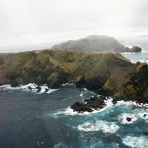 Con la creación de dos nuevos parques marinos Chile fija el estándar global en materia de protección de la biodiversidad