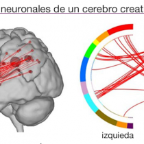 Así funciona el cerebro de las personas creativas según Roger Beaty, experto en neurociencia cognitiva de la Universidad de Harvard