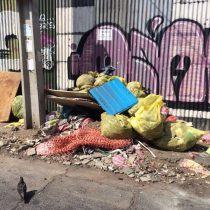 Acudirá a los tribunales: Jadue denunciará a empresa de áreas verdes de Maipú por tirar escombros en Recoleta