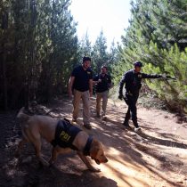 Caso Emmelyn: PDI identifica zona de interés donde habría existido movimiento en las últimas horas