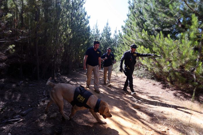 Caso Emmelyn: PDI identifica zona de interés donde habría existido movimiento en las últimas horas Caso Emmelyn: PDI identifica zona de interés donde habría existido movimiento en las últimas horas