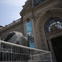 Fórmula E: Concejales presentaron querella contra responsables de daños a escultura en Museo Nacional de Bellas Artes