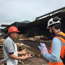 Casi 100 millones de pesos en multas aplicó la Direción del Trabajo a la industria forestal