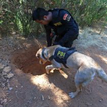 GOPE confirma hallazgo de heces humanas y restos de comida en el sector donde habría sido secuestrada Emmelyn