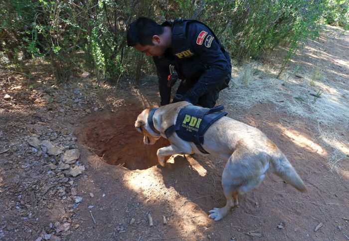 GOPE confirma hallazgo de heces humanas y restos de comida en el sector donde habría sido secuestrada Emmelyn GOPE confirma hallazgo de heces humanas y restos de comida en el sector donde habría sido secuestrada Emmelyn