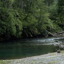 Disponibilidad y aprovechamiento de agua en Chile: reflexión desde el uso maderero