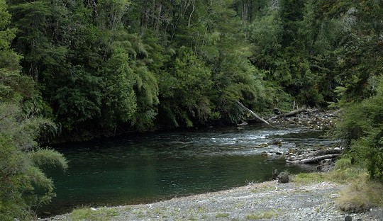 Disponibilidad y aprovechamiento de agua en Chile: reflexión desde el uso maderero Disponibilidad y aprovechamiento de agua en Chile: reflexión desde el uso maderero