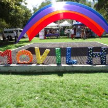 Día del amor diverso: Movilh se manifiesta en contra de la discriminación a parejas del mismo sexo con picnic en Providencia