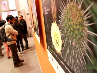Exposición “Flora de Valparaíso” en Museo de Historia Natural de Valparaíso Exposición “Flora de Valparaíso” en Museo de Historia Natural de Valparaíso