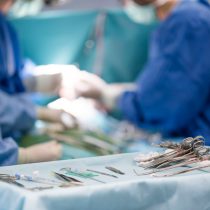 Holanda aprueba polémica ley que convierte a todos los ciudadanos en donantes de órganos
