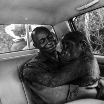 Las conmovedoras imágenes de animales ganadoras del concurso Fotógrafo de Vida Salvaje del Año