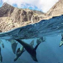 Archipiélago Juan Fernández y desarrollo sostenible