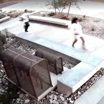 [VIDEO] Ladrones intentan escapar de la policía entrando a un edificio sin saber que era una comisaría