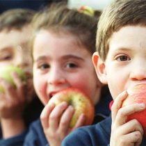Colaciones saludables para el colegio: Lo que debemos considerar y opciones para cada día