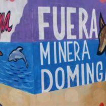 SEA de Coquimbo revela intervención desde Santiago para conseguir aprobación de Dominga