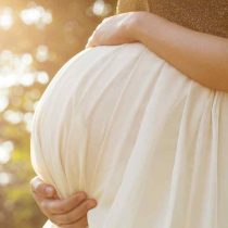 Medicina Placentaria: más que el consumo de placenta post parto
