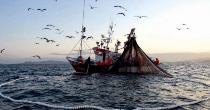 Condepp exigió prioridad del Gobierno para anular la Ley de Pesca Condepp exigió prioridad del Gobierno para anular la Ley de Pesca