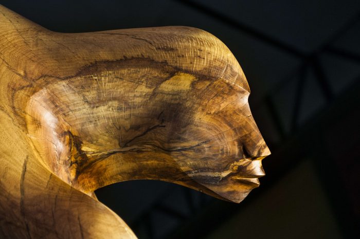 Exposición «A partir del origen» de Marcela Romagnoli en Centro Cultural El Tranque Exposición «A partir del origen» de Marcela Romagnoli en Centro Cultural El Tranque