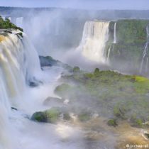 América Latina: la riqueza de su biodiversidad en peligro