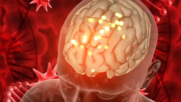 Científico chileno asegura que cerebro comanda nuestras acciones sin pedir permiso Científico chileno asegura que cerebro comanda nuestras acciones sin pedir permiso