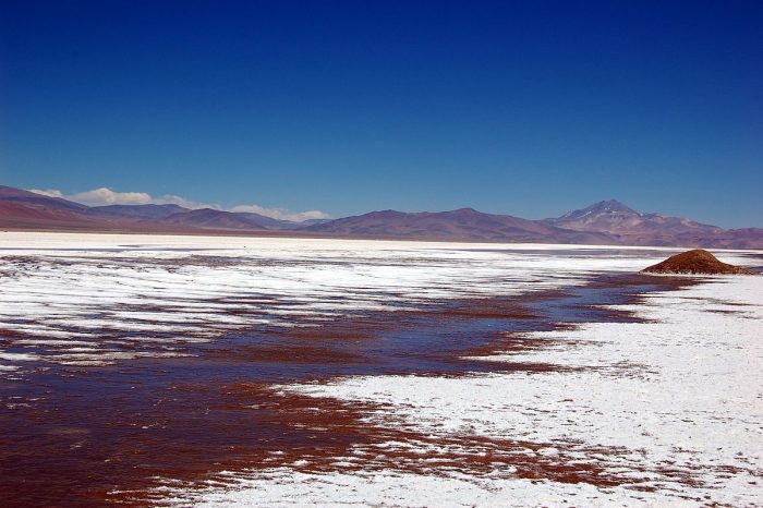 Finalmente el Estado de Chile entra al negocio del litio: Gobierno le da monopolio del Salar de Maricunga a Codelco, pero con amarres Finalmente el Estado de Chile entra al negocio del litio: Gobierno le da monopolio del Salar de Maricunga a Codelco, pero con amarres