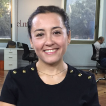 Comentario - Una Mujer Fantástica: el triunfo de la cultura que se convierte en presión para Piñera