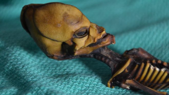 La trágica historia detrás de la momia hallada en Atacama que algunos creían era un extraterrestre La trágica historia detrás de la momia hallada en Atacama que algunos creían era un extraterrestre