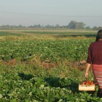 Mujeres rurales, mujeres conectadas