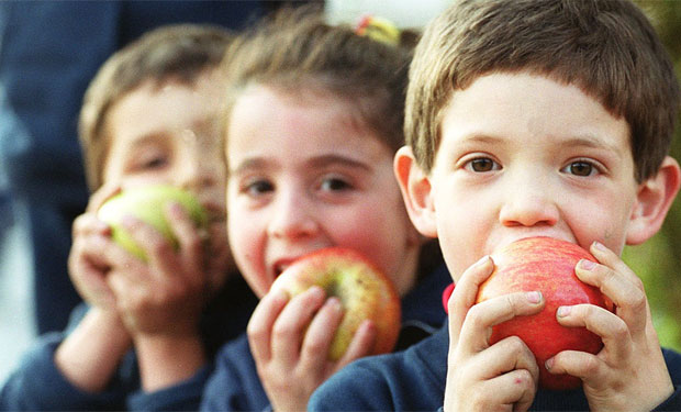 Estudios del INTA confirman cómo los alimentos altos en grasas y azúcares afectan el desarrollo cognitivo de los niños Estudios del INTA confirman cómo los alimentos altos en grasas y azúcares afectan el desarrollo cognitivo de los niños