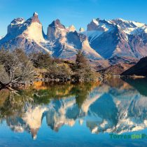 Conservación de la biodiversidad: una gran oportunidad para Chile