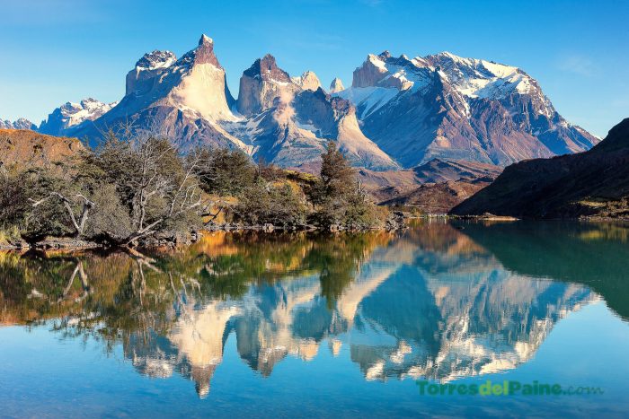 Conservación de la biodiversidad: una gran oportunidad para Chile Conservación de la biodiversidad: una gran oportunidad para Chile