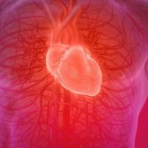 ¿Es posible recuperar un corazón humano después de muerto?