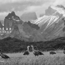 Privada es la blanca montaña: proponen catastro nacional de restricciones de acceso a los cerros de Chile