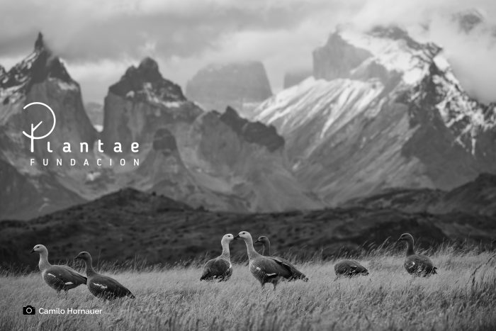 Privada es la blanca montaña: proponen catastro nacional de restricciones de acceso a los cerros de Chile