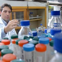 Vacuna chilena contra virus sincicial es presentada en Harvard 