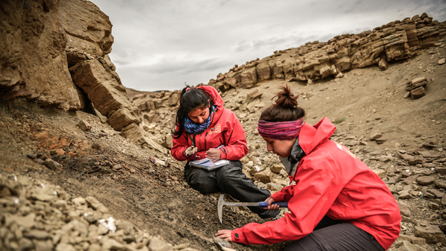 Descubren dinosaurio semiarticulado en la región de Magallanes Descubren dinosaurio semiarticulado en la región de Magallanes