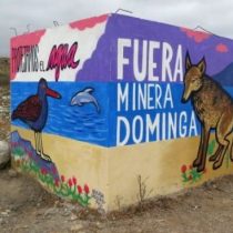 Oceana reacciona ante fallo que favorece a Dominga: anuncia que recurrirá a la Suprema para que se revierta la decisión