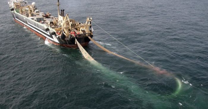 Sobreexplotación del mar: ausencia de Observador Científico en buques vulnera Ley de Pesca desde 2013 Sobreexplotación del mar: ausencia de Observador Científico en buques vulnera Ley de Pesca desde 2013