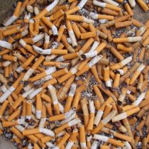 Tabaquismo sería la principal causa de muertes al año por enfermedad pulmonar obstructiva crónica