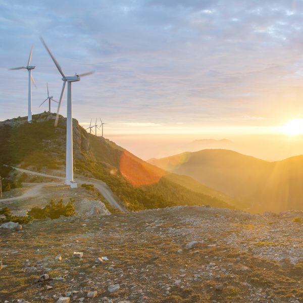 Plan de economía verde para sanar Chile Plan de economía verde para sanar Chile