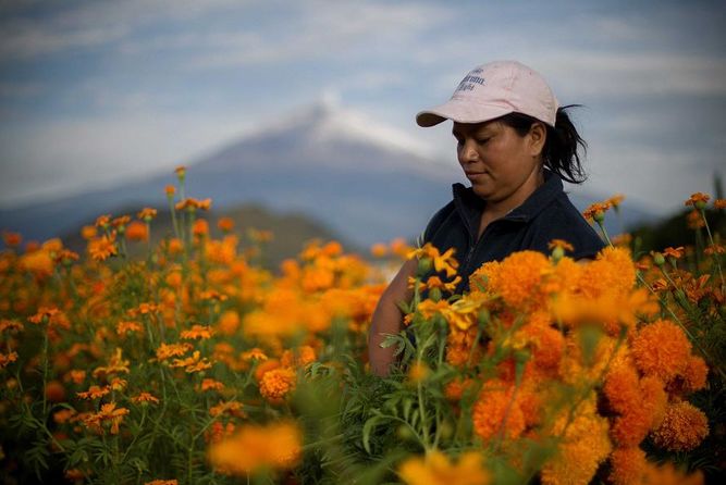 Prodemu y FAO suscribirán convenio para promover el desarrollo integral de mujeres campesinas en todo Chile Prodemu y FAO suscribirán convenio para promover el desarrollo integral de mujeres campesinas en todo Chile