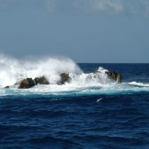 Energía oceánica puede disminuir emisión de gases de efecto invernadero