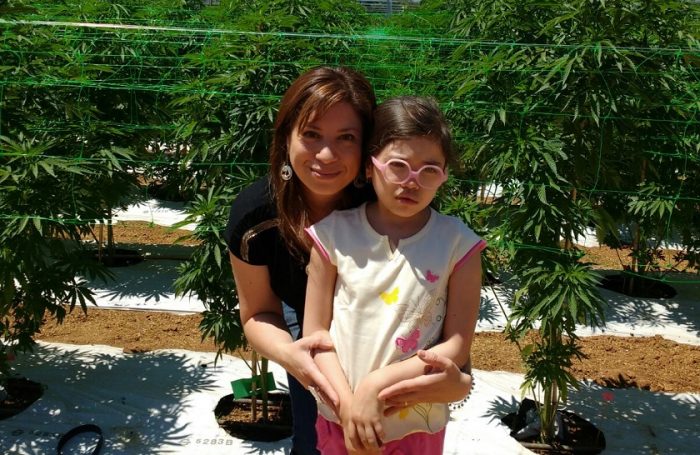 El autocultivo de marihuana avanza en el Parlamento: “Que nunca más una madre sienta temor de perder la medicina de su hijo”