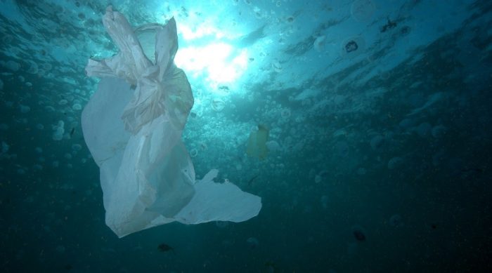 Greanpeace revela que se ha descubierto plástico en el punto más profundo del océano: “Estamos cerca de un punto sin retorno”