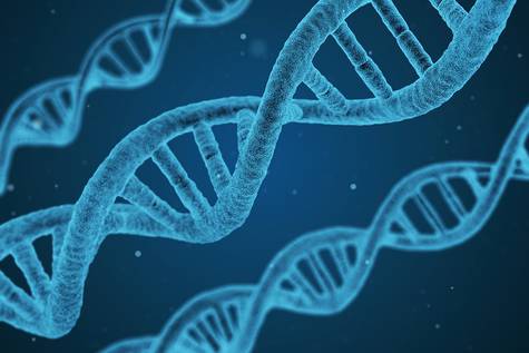 Identifican una señal genética común en la parálisis cerebral y el autismo Identifican una señal genética común en la parálisis cerebral y el autismo
