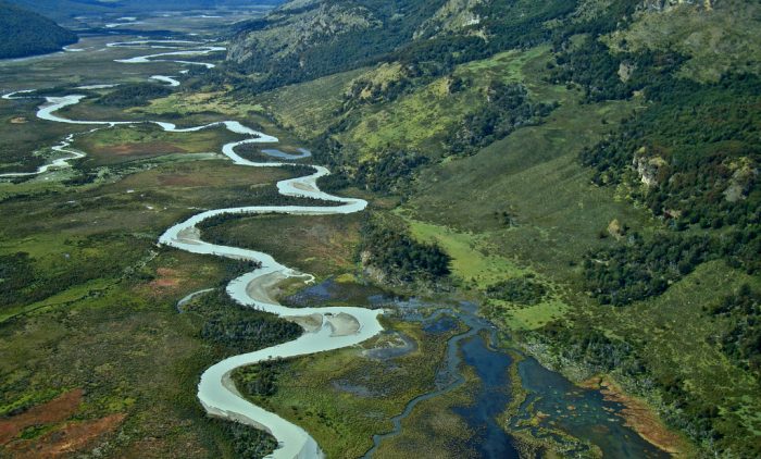Servicio de biodiversidad: un proyecto de ley necesario Servicio de biodiversidad: un proyecto de ley necesario