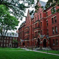 Harvard, protocolos y límites del acuerdo social