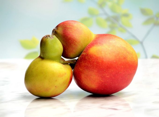 Cómo el juicio estético en frutas y verduras contribuye al desperdicio de alimentos Cómo el juicio estético en frutas y verduras contribuye al desperdicio de alimentos