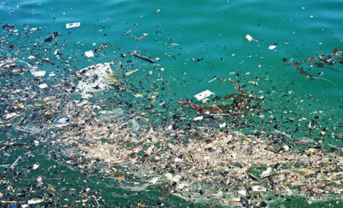Crean app para crear conciencia de la huella de carbono individual y eliminar residuos de plástico Crean app para crear conciencia de la huella de carbono individual y eliminar residuos de plástico